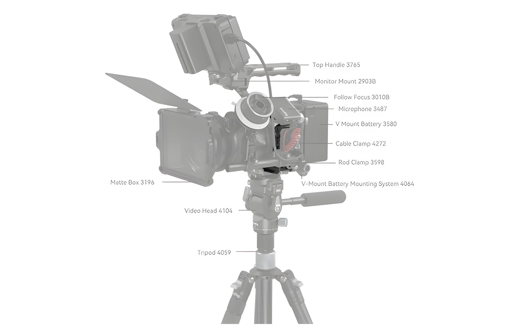 Black Mamba for EOS R6 MKII